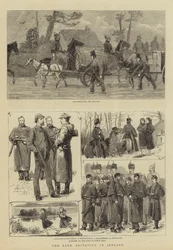 Die Landagitation in Irland